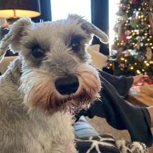 Meet your Posher, Brenda